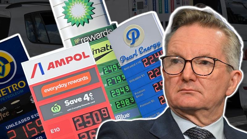 Energy Minister Chris Bowen says Australia’s temporary fuel excise cut, which has brought down petrol prices, is likely to remain just that.