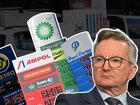 Energy Minister Chris Bowen says Australia’s temporary fuel excise cut, which has brought down petrol prices, is likely to remain just that.