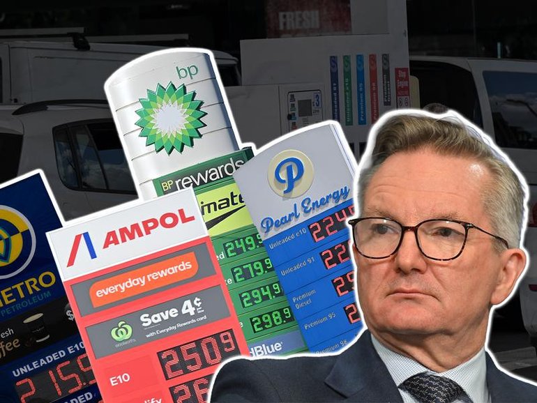 Energy Minister Chris Bowen says Australia’s temporary fuel excise cut, which has brought down petrol prices, is likely to remain just that.