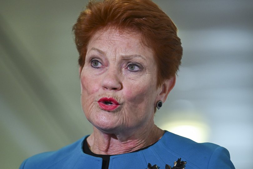 Pauline Hanson said her One Nation Party will throw everything at winning WA seats at the 2028 Federal Election.