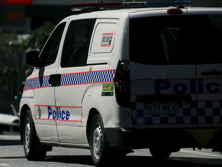 A man has been shot dead by police during a reported domestic violence incident north of Brisbane.