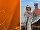 Couple recount terrifying tiger shark encounter.