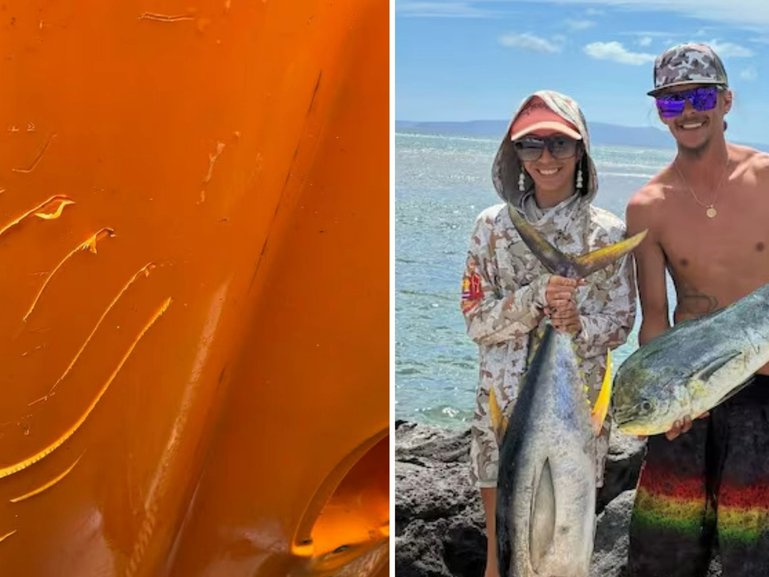 Couple recount terrifying tiger shark encounter.