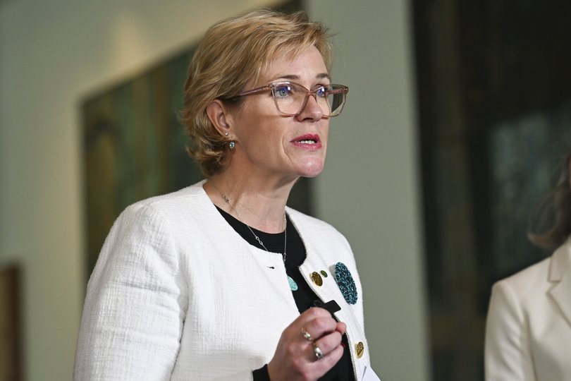 CANBERRA, AUSTRALIA - NewsWire Photos - August 25, 2025: Zali Steggall MP holds a press conference at Parliament House in Canberra. Picture: NewsWire / Martin Ollman