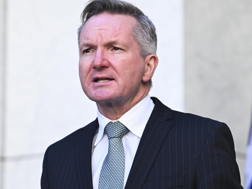 The DMO’s savings show ‘steady progress’, Energy Minister Chris Bowen says. Picture: NewsWire / Martin Ollman