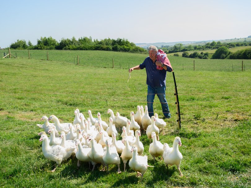 Jeremy Clarkson tends to his flock.