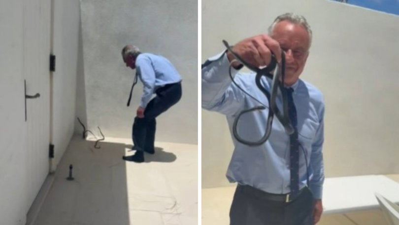 Robert F Kennedy Jr has wrangled two snakes on a Florida patio.