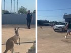 Kangaroo gets loose in Texas.