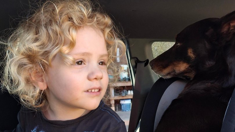 South Australian Police will provide an update o their search for missing four-year-old Gus Lamont on Thursday afternoon.