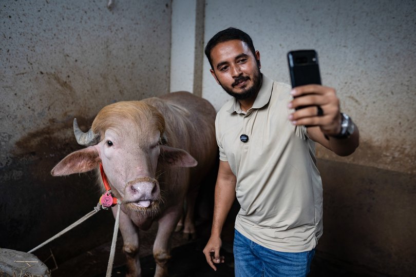 A visitor takes a selfie with ‘Buffalo Trump’ ahead of Eid al-Adha.
