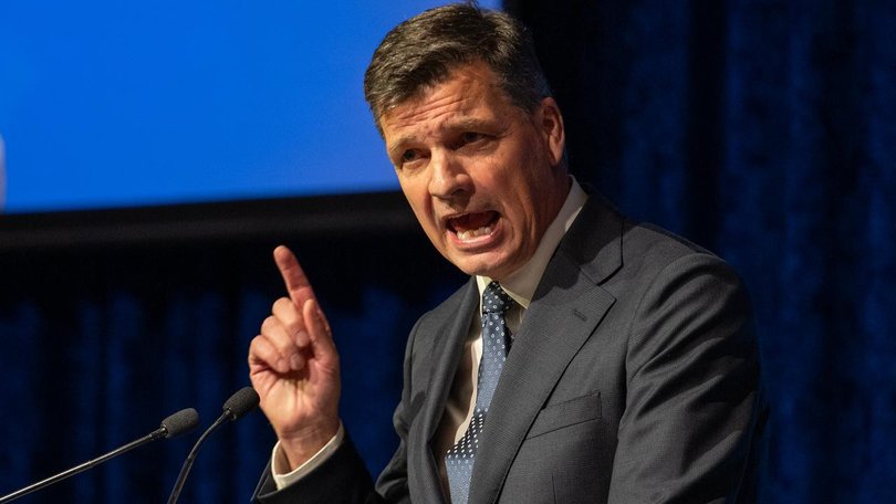 Angus Taylor says the Liberals are the only party capable of defeating a "rotten Labor government". (Jay Kogler/AAP PHOTOS)