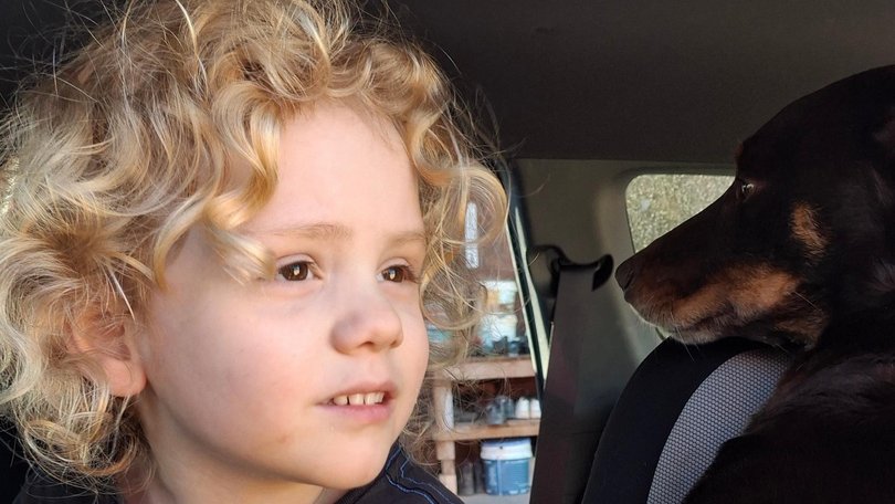 Four-year-old Gus Lamont, who disappeared from Oak Valley Station in September 2025. Supplied