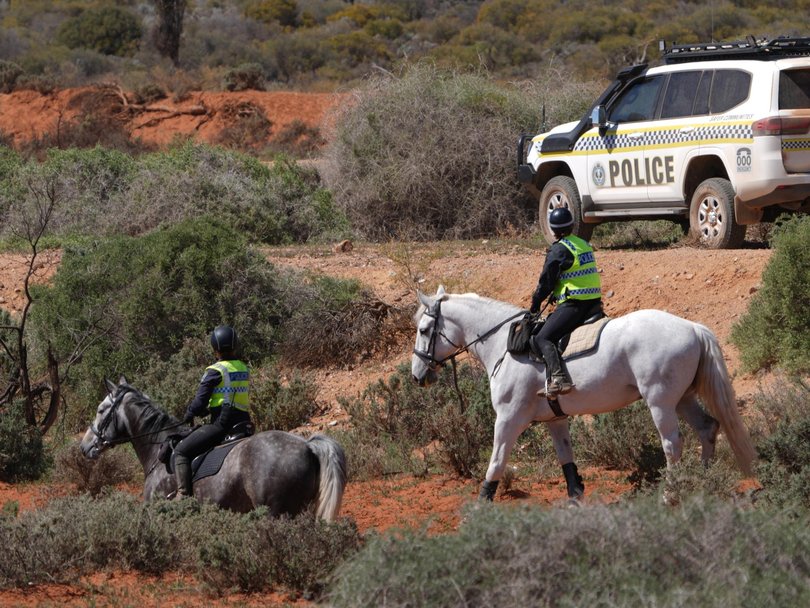 Police on horseback search for Gus. Picture: NewsWire/Dean Martin