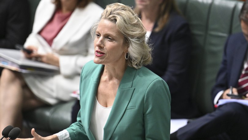 Housing Minister Clare O’Neil has vowed the government will “speedily” resolve questions around who will get carve-outs from the controversial changes to capital gains tax discounts.