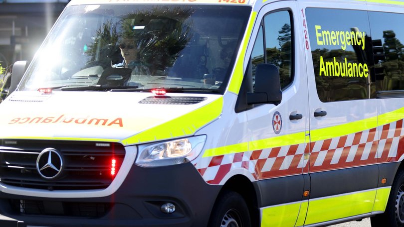 Two young children died in Sydney after they were accidentally left in hot cars. NewsWire / Damian Shaw