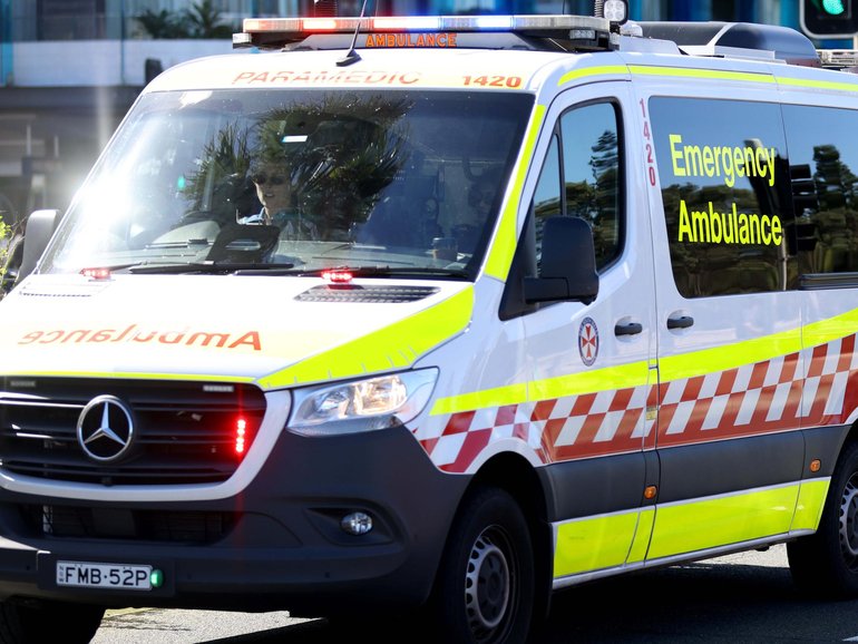 Two young children died in Sydney after they were accidentally left in hot cars. NewsWire / Damian Shaw