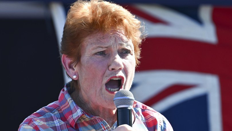 Pauline Hanson said she would only retire if her health declined. Picture: NewsWire / Martin Ollman.