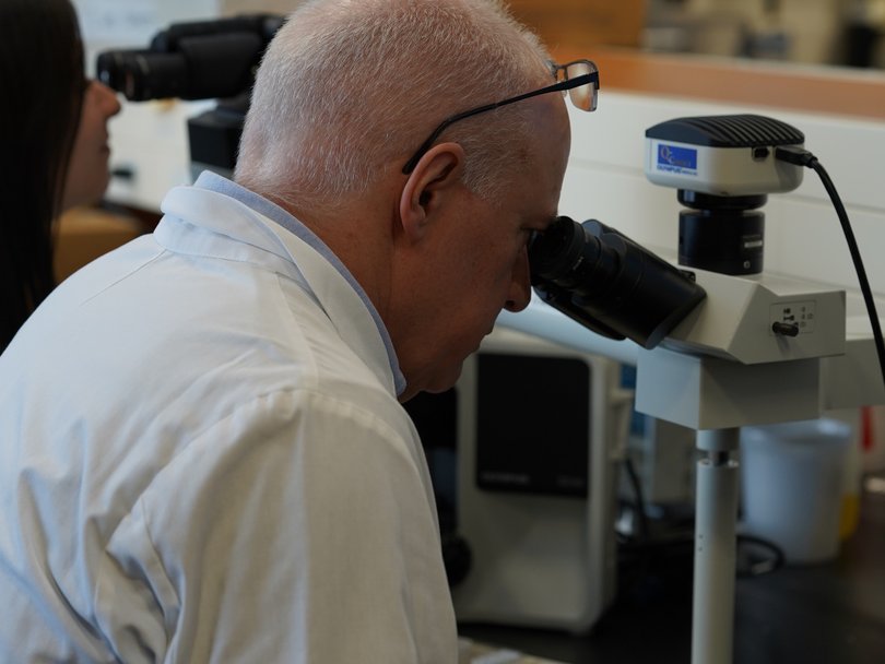 Researcher Geoffrey Wood, a pathology professor at the University of Guelph in Ontario, inspects a sample.