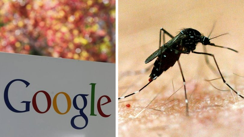 A Google-linked mosquito project has caused public outcry.