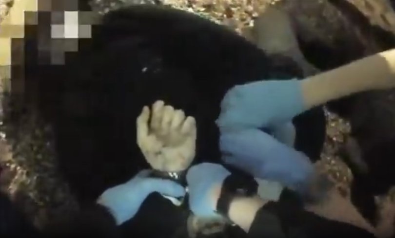 Police bodycam video shows officers handcuff Henry Nowak after he told them he had been stabbed. 