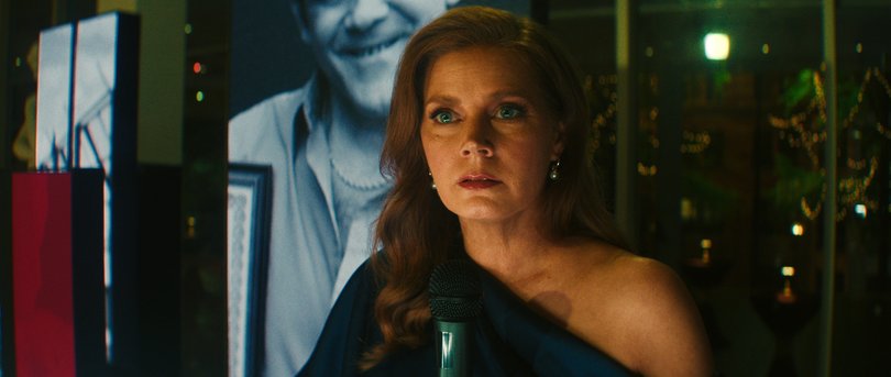 The Sam Bowden character has been changed to Anna Bowden, played by Amy Adams.