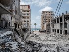 A lone palm tree remains stands amid the rubble in the Lebanese city of Tyre following an Israeli strike on June 2.