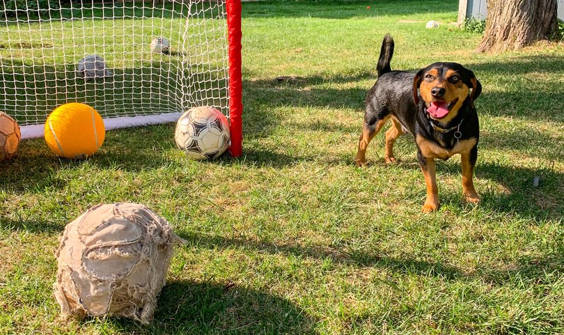 Ronaldo's family tried to teach him other positions, but he prefers being goalkeeper. (Stephanie Craveiro Katzman)