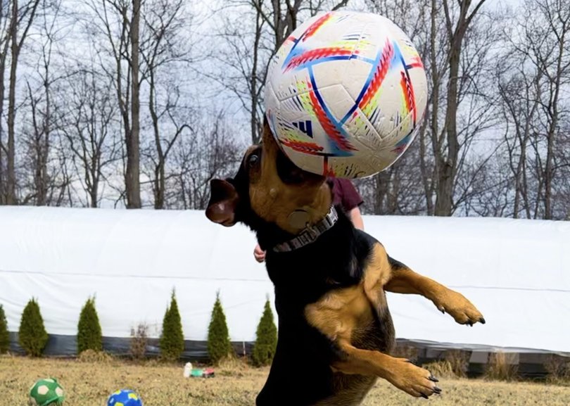 Ronaldo blocking a shot. (Stephanie Craveiro Katzman)