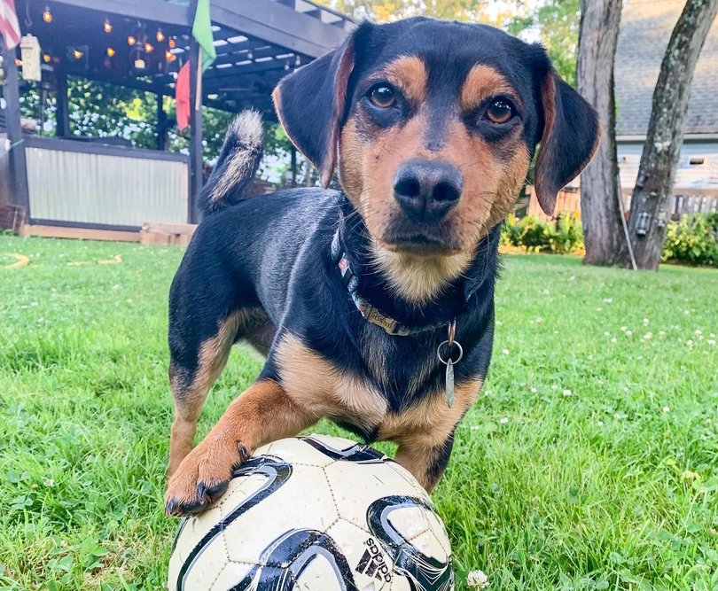 Ronaldo, 6, began playing soccer soon after he was adopted. (Stephanie Craveiro Katzman)