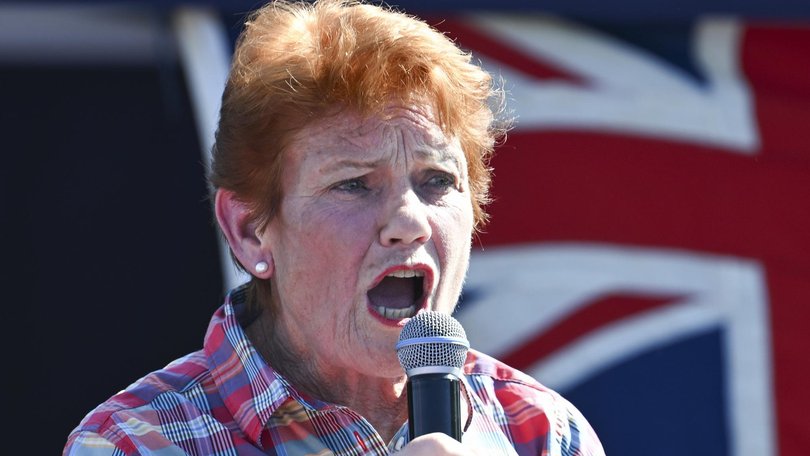 One Nation leader Pauline Hanson has flagged foreigners have their homes repossessed.
