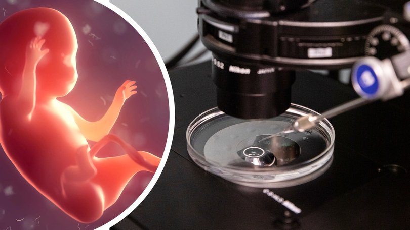 Scientists at Columbia University have edited the DNA of early human embryos with unprecedented accuracy, an achievement that could open the way to babies engineered with particular characteristics.