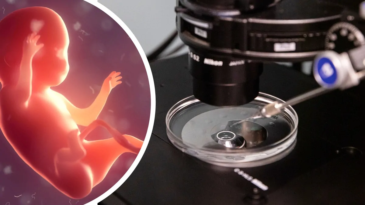 THE NEW YORK TIMES: In a first, scientists precisely edit human embryo genes