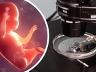 Scientists at Columbia University have edited the DNA of early human embryos with unprecedented accuracy, an achievement that could open the way to babies engineered with particular characteristics.