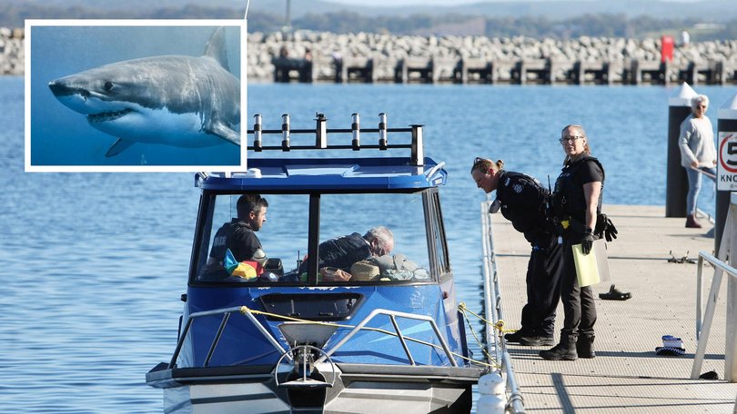 A male diver has been bitten by a suspected 4.5 metre shark just before 11.30am on Saturday at Michaelmas Island off Albany. 
