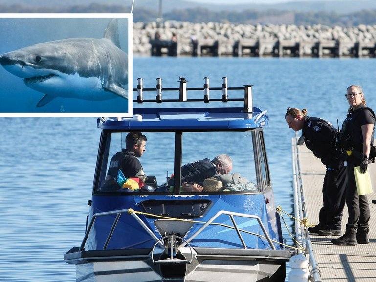 A male diver has been bitten by a suspected 4.5 metre shark just before 11.30am on Saturday at Michaelmas Island off Albany. 