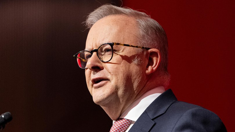 Anthony Albanese has ruled out ‘drawing a distinction’ between citizenship status of Australians and as he ramps up attack on populist right-wing over controversial migration policies.