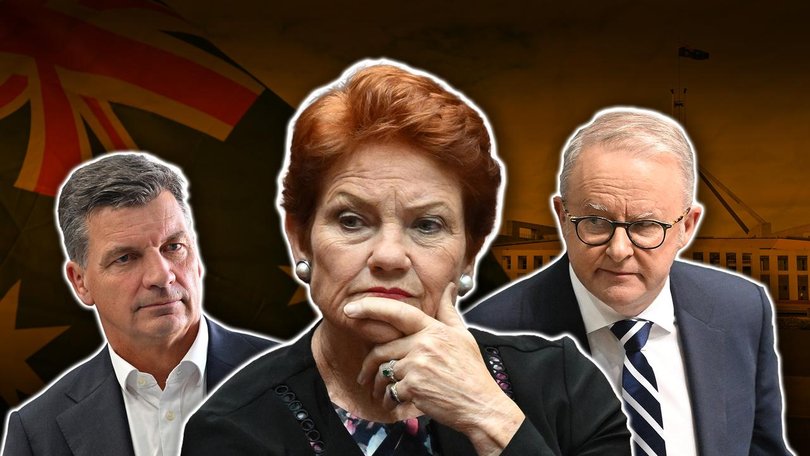 A new poll shows where Angus Taylor, Pauline Hanson and Anthony Albanese sit with voters. (Susie Dodds/AAP PHOTOS)
