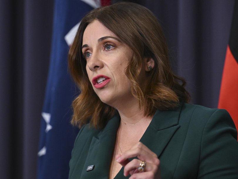 Communications Minister Anika Wells referred herself to an independent review. Picture: NewsWire / Martin Ollman