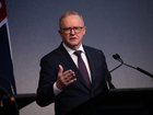 Anthony Albanese points to economic pain as voters flock to One Nation.
