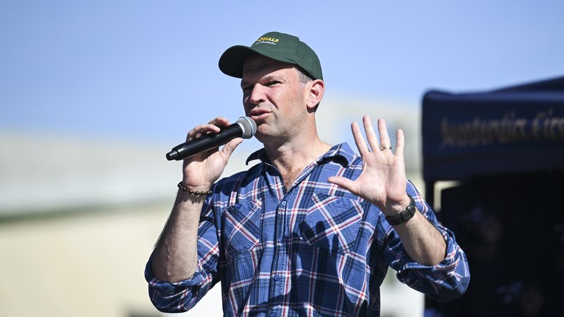 Matt Canavan is attempting to fight off One Nation or risk losing relevance.