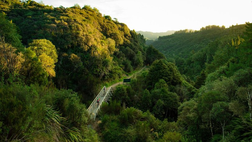 The Timber Trail - one of 23 Nga Haerenga Great Rides of New Zealand, with a 24th to open outside Queenstown later this year - follows machine-built single tracks and repurposed logging tramways as far as Ongarue.