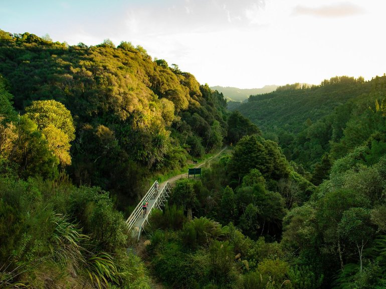 The Timber Trail - one of 23 Nga Haerenga Great Rides of New Zealand, with a 24th to open outside Queenstown later this year - follows machine-built single tracks and repurposed logging tramways as far as Ongarue.