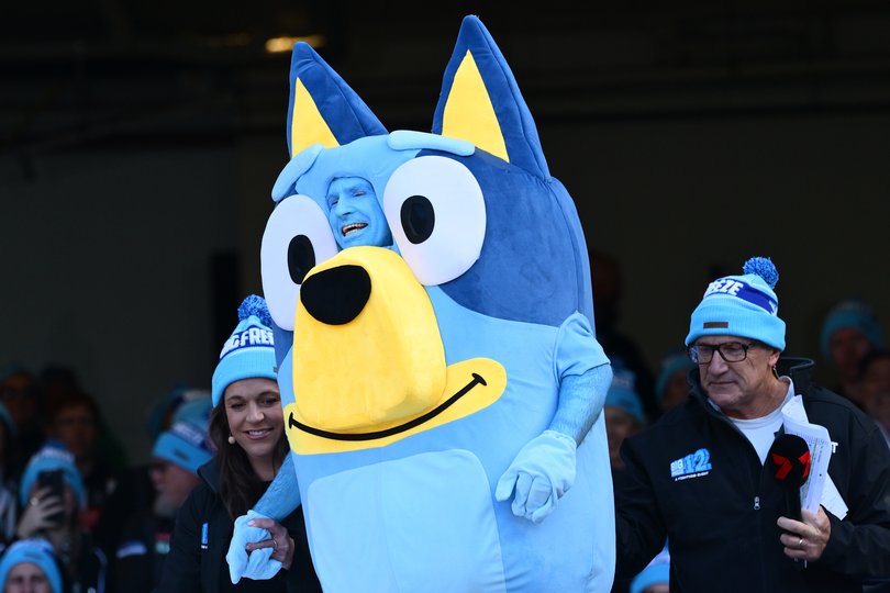 Sam Mac as Bluey.