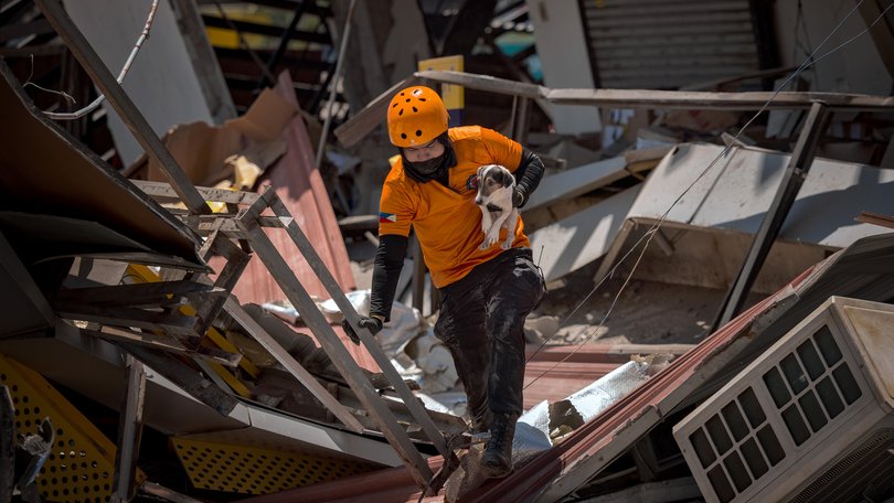 Ceedee, a rescue dog, is carried by a rescue worker as they search for survivors under the rubble of a building that collapsed following a magnitude 7.8 earthquake on June 09, 2026 in General Santos, Saranggani province, Philippines. 