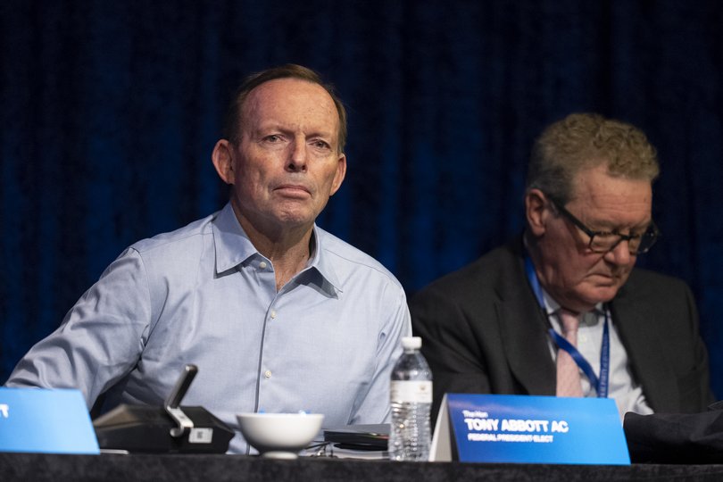 Newly elected Liberal Party Federal president Tony Abbott looms as a threat and saviour.