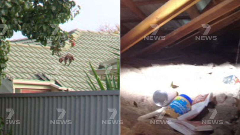 Police believe the squatter may have accessed the home via the roof