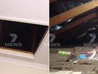 An Adelaide grandmother thought a large possum was in her roof that turned out to be a squatter