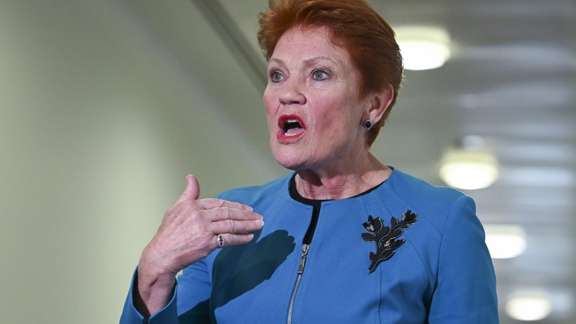 Pauline Hanson wants to reopen the abortion vote.