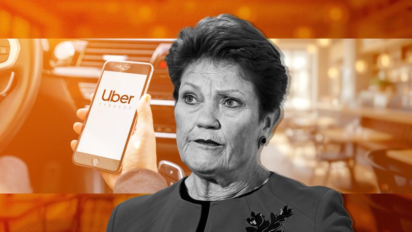 Pauline Hanson’s plan for international students could make it harder for Australians to get an Uber or book a restaurant, a higher education expert says.