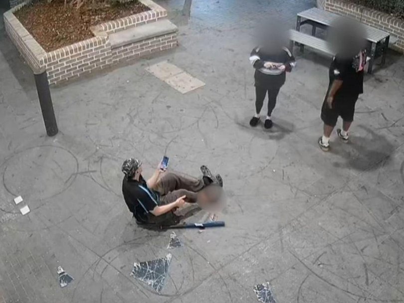 Members of the public rushed to assist the owner. Picture: NewsWire Handout